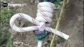 Tozapping.tv Cómo hacer un nudo para lonas y cubiertas de tiendas de campaña