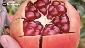 Tozapping.tv Cómo pelar una granada fácilmente