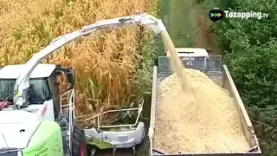 Tozapping.tv Máquinas cosechadoras para diferentes tipos de cosechas