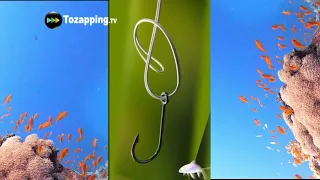 Tozapping.tv Nudo De Pesca