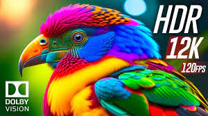 Tozapping.tv naturaleza lo mejor de Dolby Vision 12K HDR 120 fps