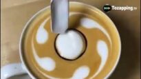 Tozapping.tv. Latte Art El Arte de Transformar tu Café en una Obra Maestra